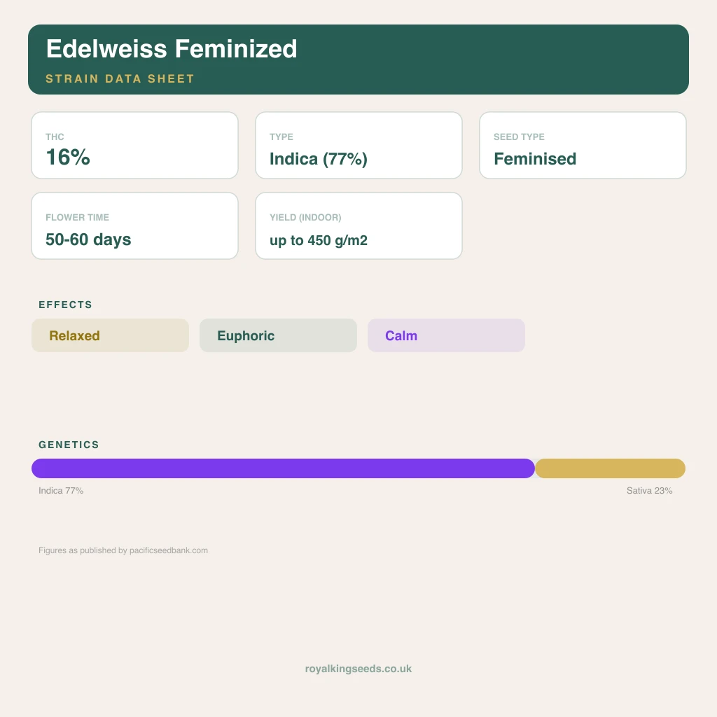 Edelweiss 77% indica / 23% sativa flower with visible trichomes