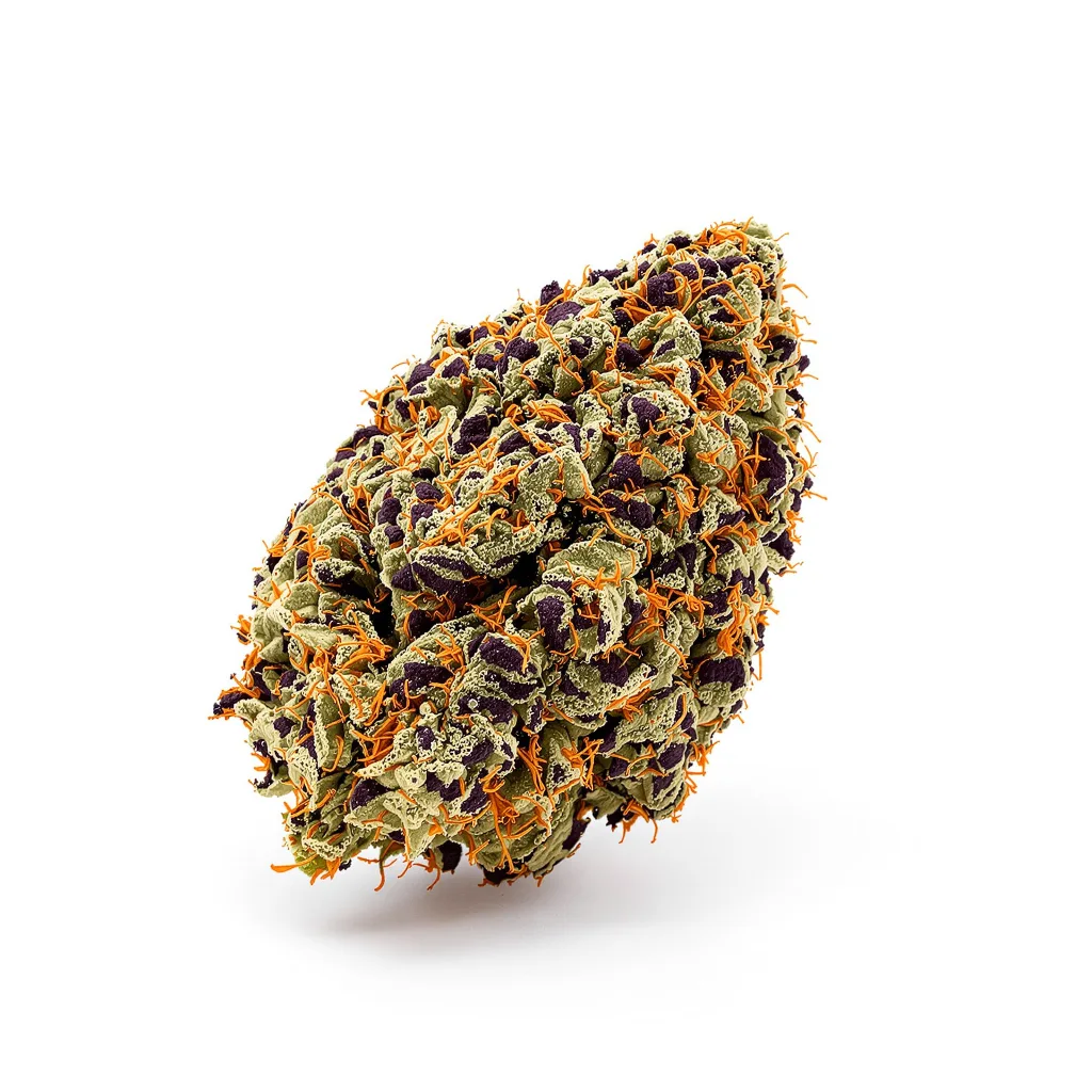 El Jefe cannabis plant in flowering stage — 90-130 cm feminised
