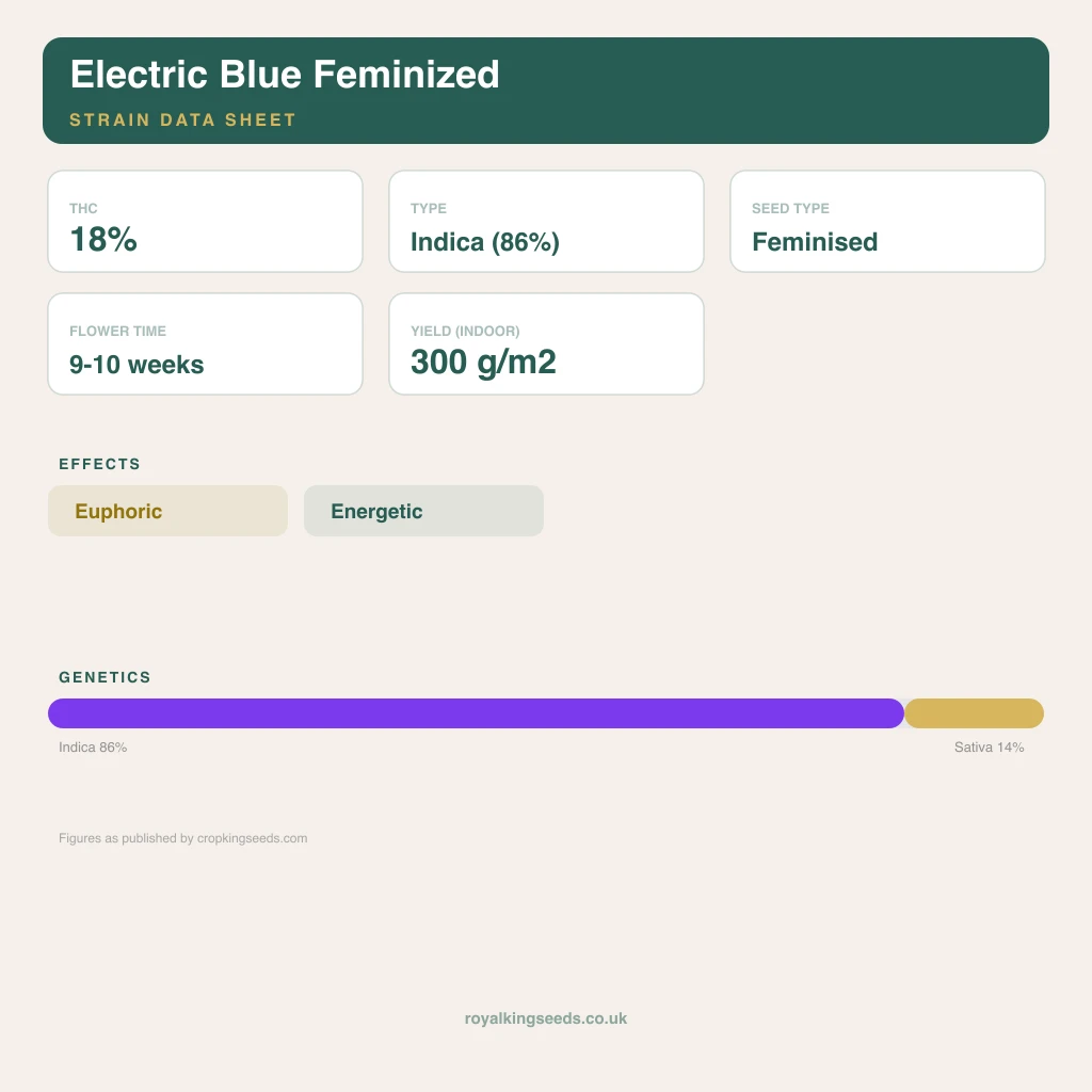 Electric Blue 86% indica / 14% sativa flower with visible trichomes