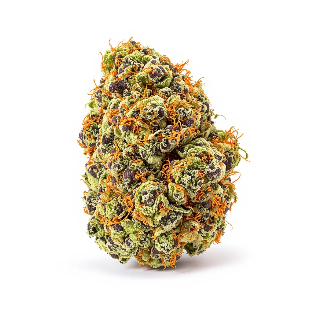 Endless Sky cannabis plant in flowering stage — 90-130 cm feminised