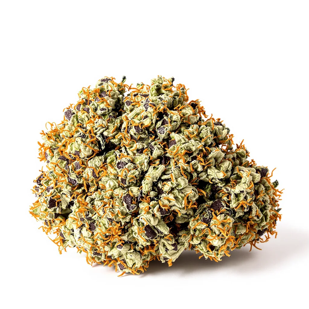 Enemy of the State cannabis plant in flowering stage — max. 150 cm feminised