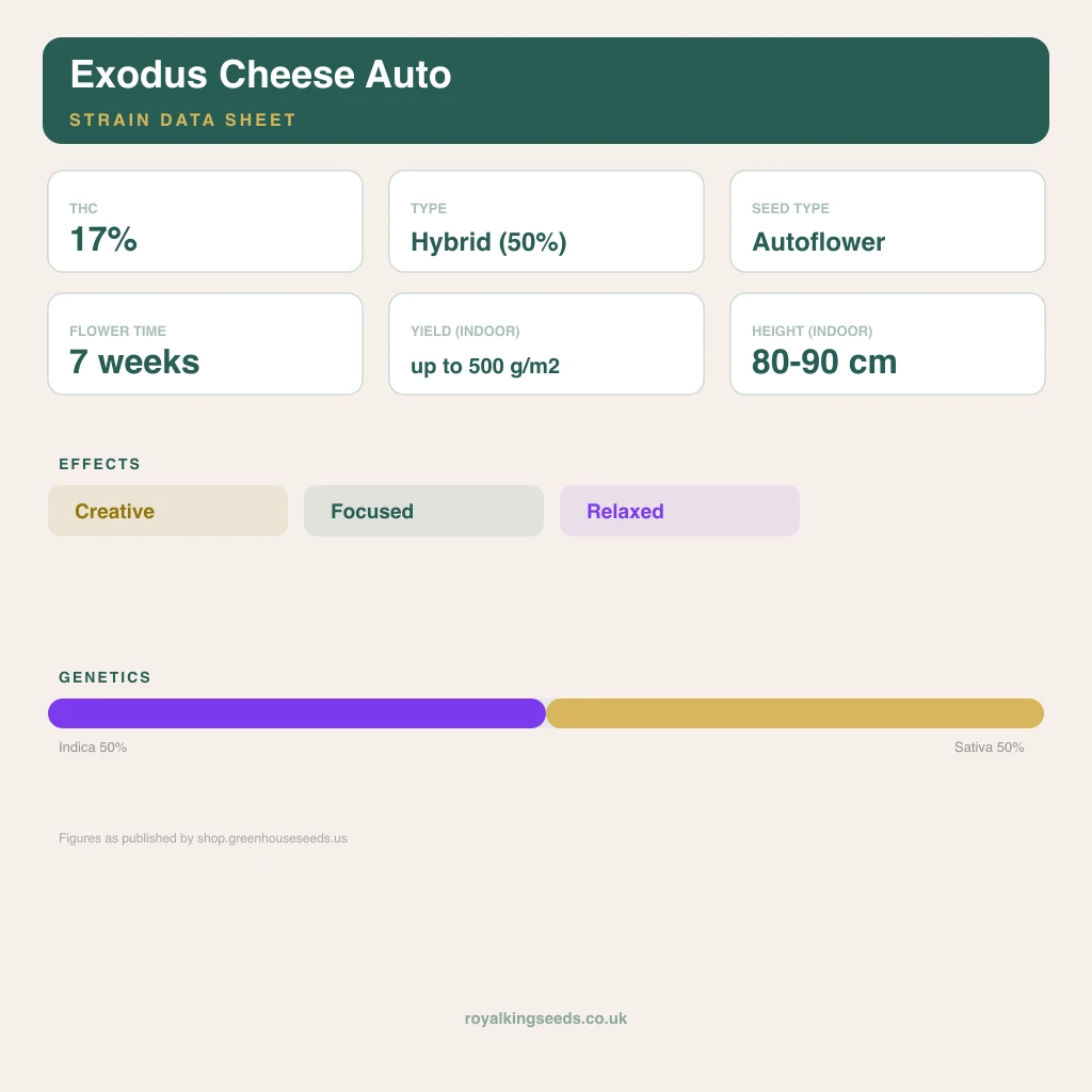Exodus Cheese 50% indica / 50% sativa flower with visible trichomes