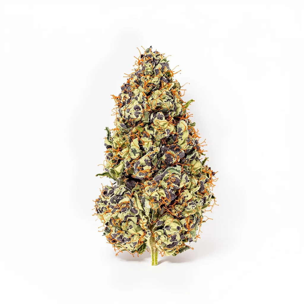 Extreme OG cannabis plant in flowering stage — 90-130 cm feminised