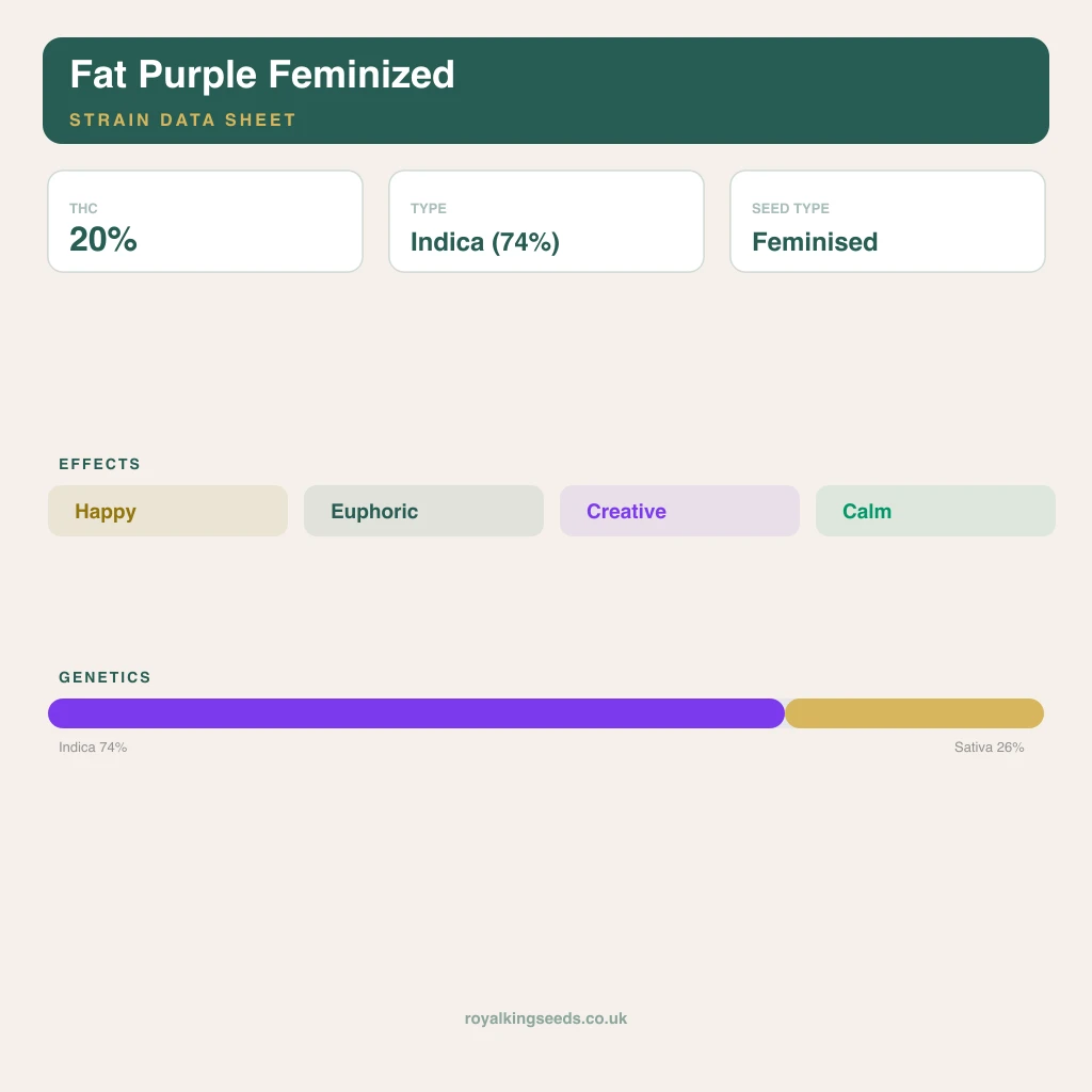 Fat Purple 74% indica / 26% sativa flower with visible trichomes