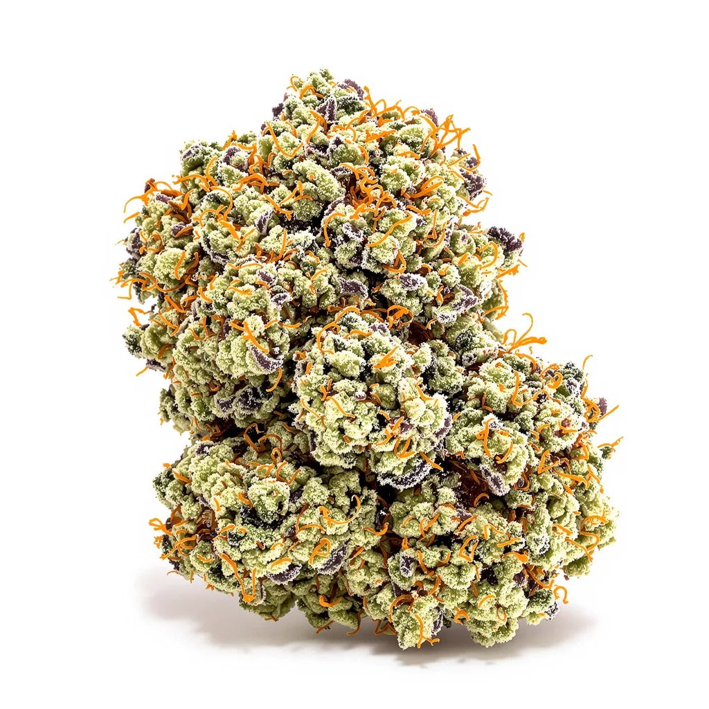 Faygo Red Pop cannabis plant in flowering stage — 60-100 cm autoflower
