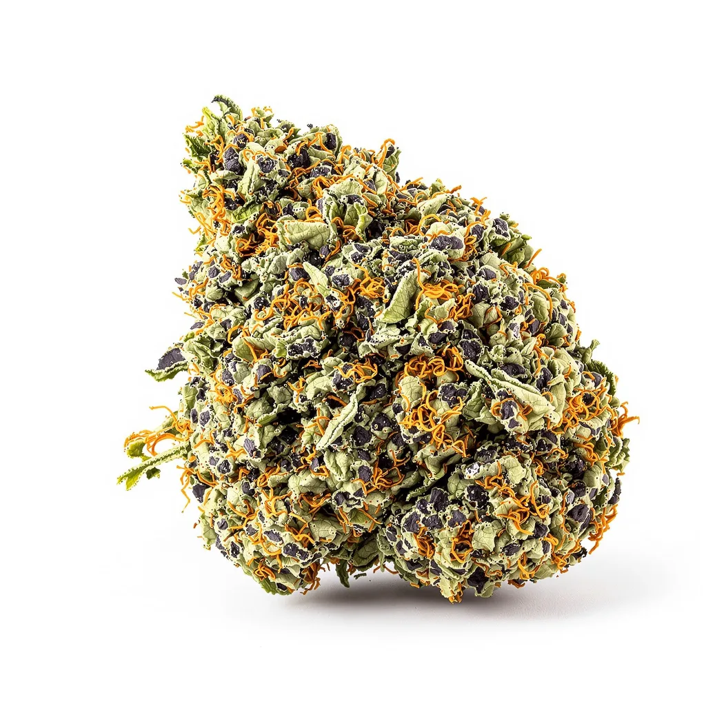 Flowerbomb Kush cannabis plant in flowering stage — 90-130 cm feminised