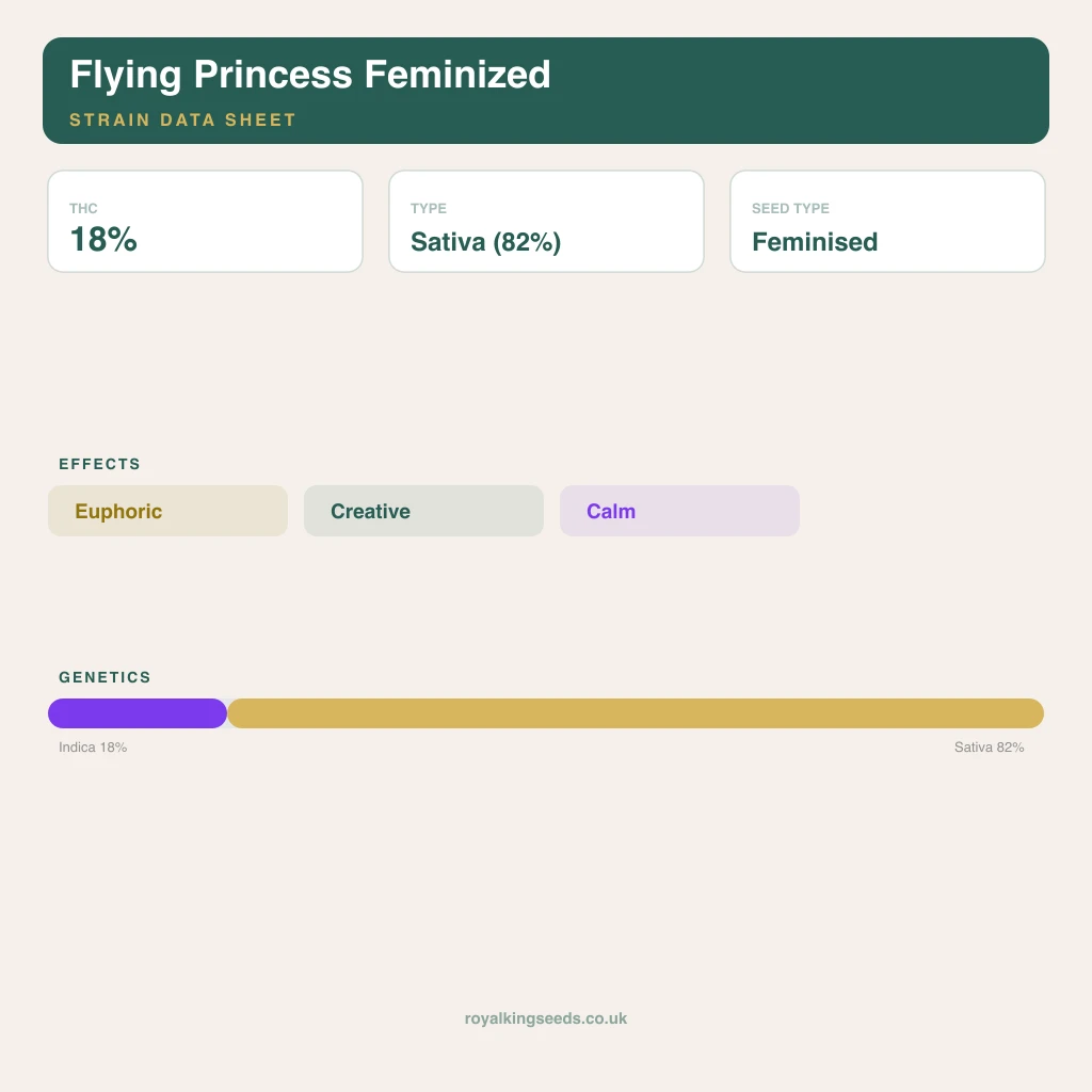 Flying Princess 18% indica / 82% sativa flower with visible trichomes