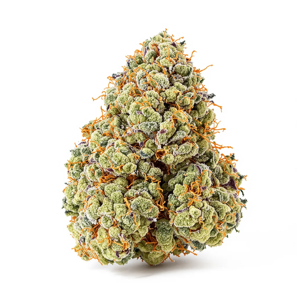 Fruity Pebbles cannabis plant in flowering stage — 120-180 cm feminised