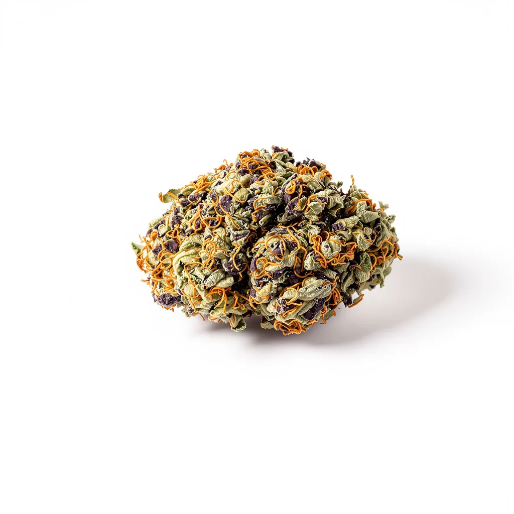 Fruitylicious cannabis plant in flowering stage — 90-130 cm feminised