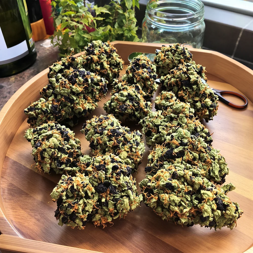 G13 85% indica / 15% sativa flower with visible trichomes