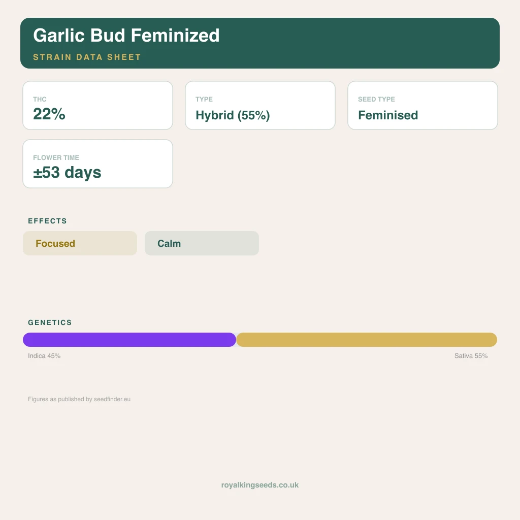 Garlic Bud 45% indica / 55% sativa flower with visible trichomes
