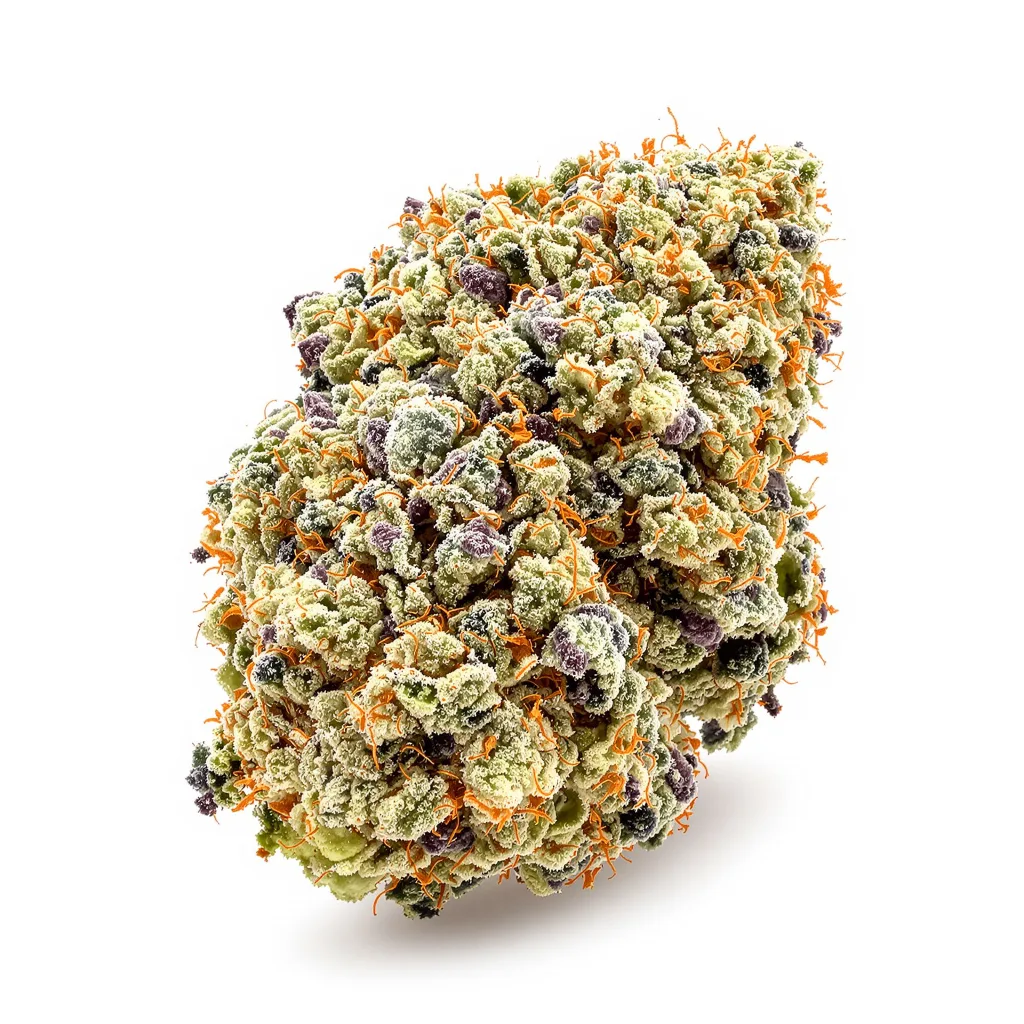 Gatekeeper OG cannabis plant in flowering stage — 60-100 cm autoflower