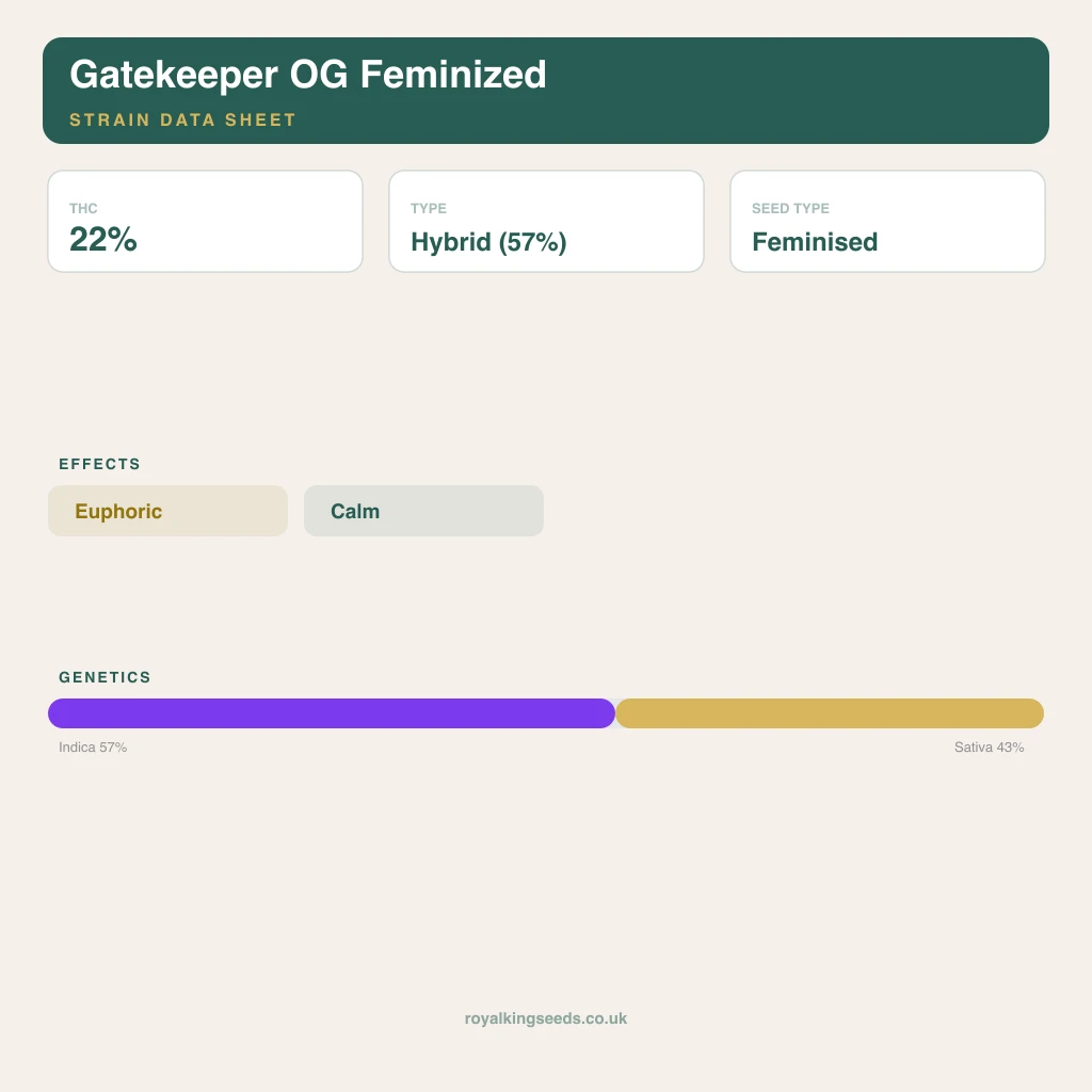 Gatekeeper OG 57% indica / 43% sativa flower with visible trichomes