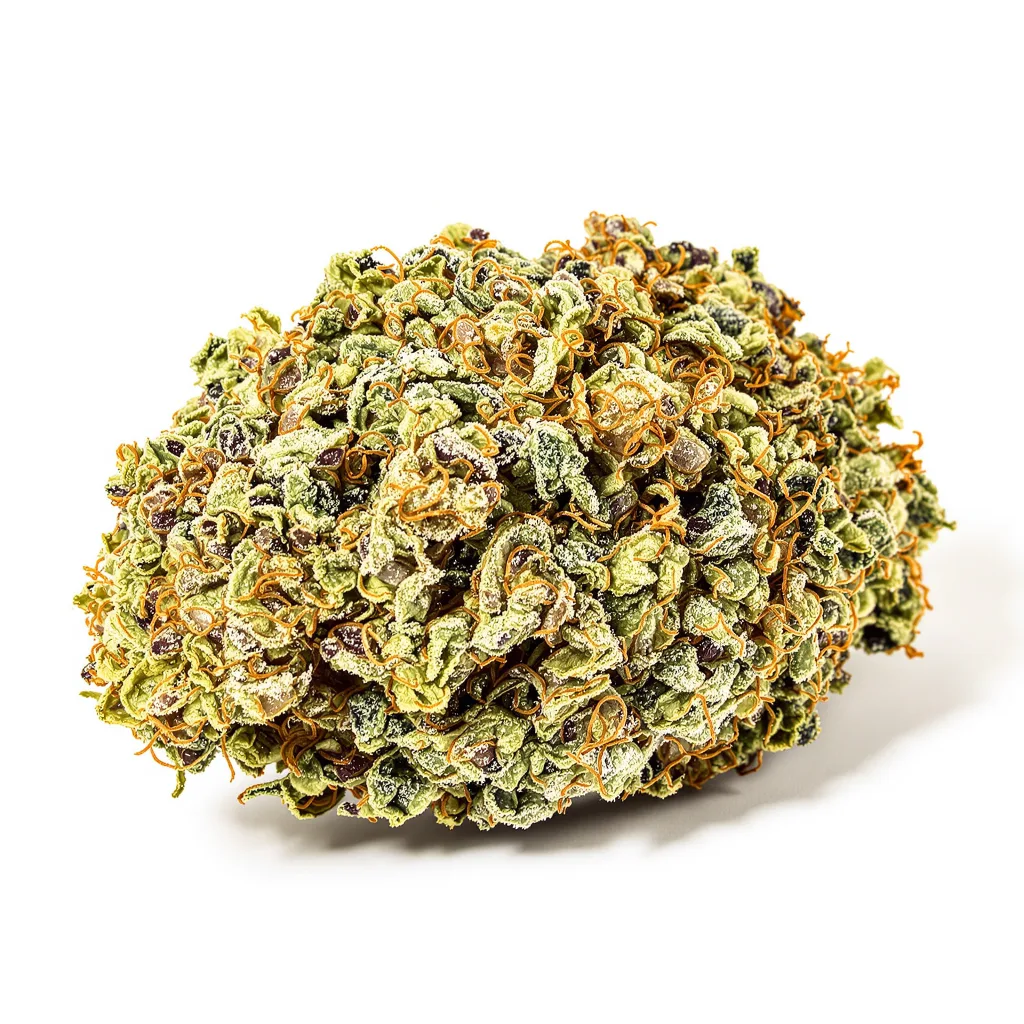 Gelato 33 cannabis plant in flowering stage — 60-100 cm autoflower
