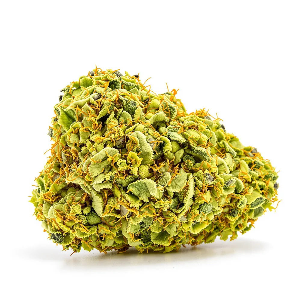 Ghost Train Haze cannabis plant in flowering stage — 60-100 cm autoflower