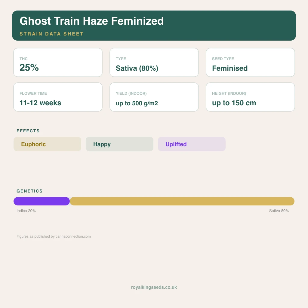 Ghost Train Haze 20% indica / 80% sativa flower with visible trichomes