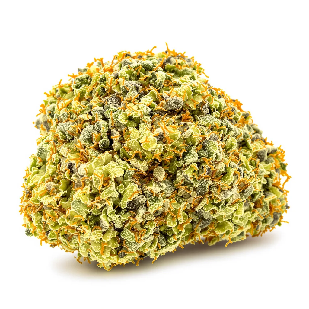 Ghost Train Haze cannabis plant in flowering stage — 150-200 cm feminised