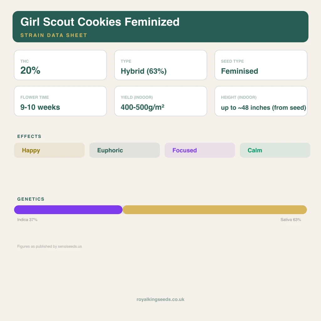 Girl Scout Cookies 37% indica / 63% sativa flower with visible trichomes