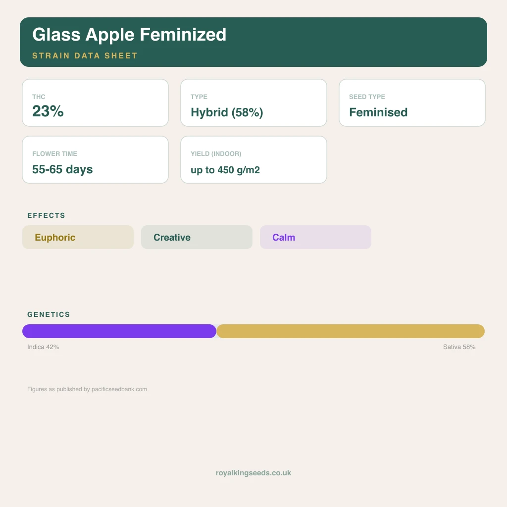 Glass Apple 42% indica / 58% sativa flower with visible trichomes