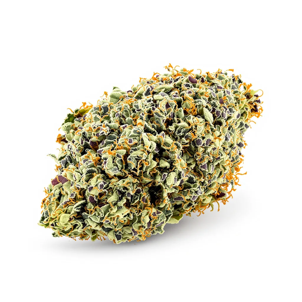 G.O.A.T Pack cannabis plant in flowering stage — 120-180 cm feminised