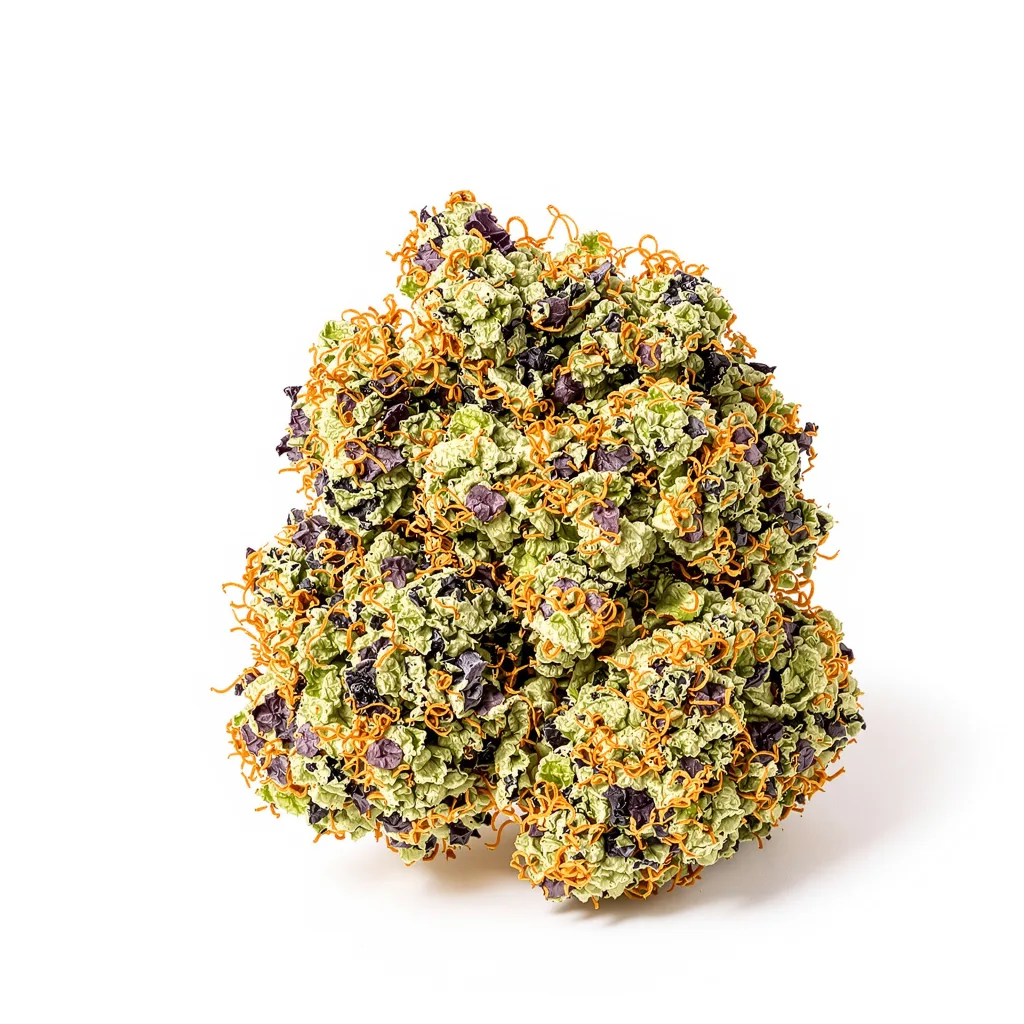 Goatlato cannabis plant in flowering stage — 60-100 cm autoflower
