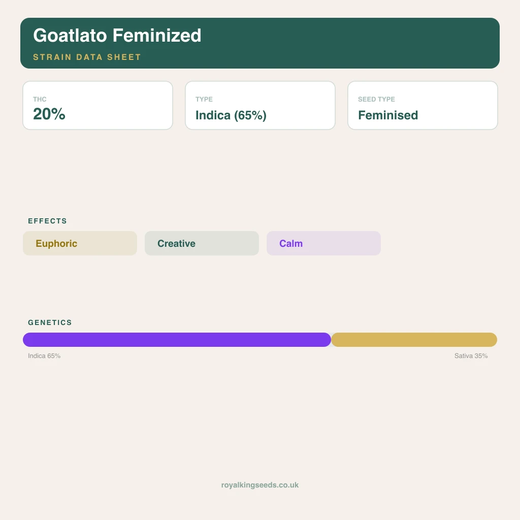 Goatlato 65% indica / 35% sativa flower with visible trichomes