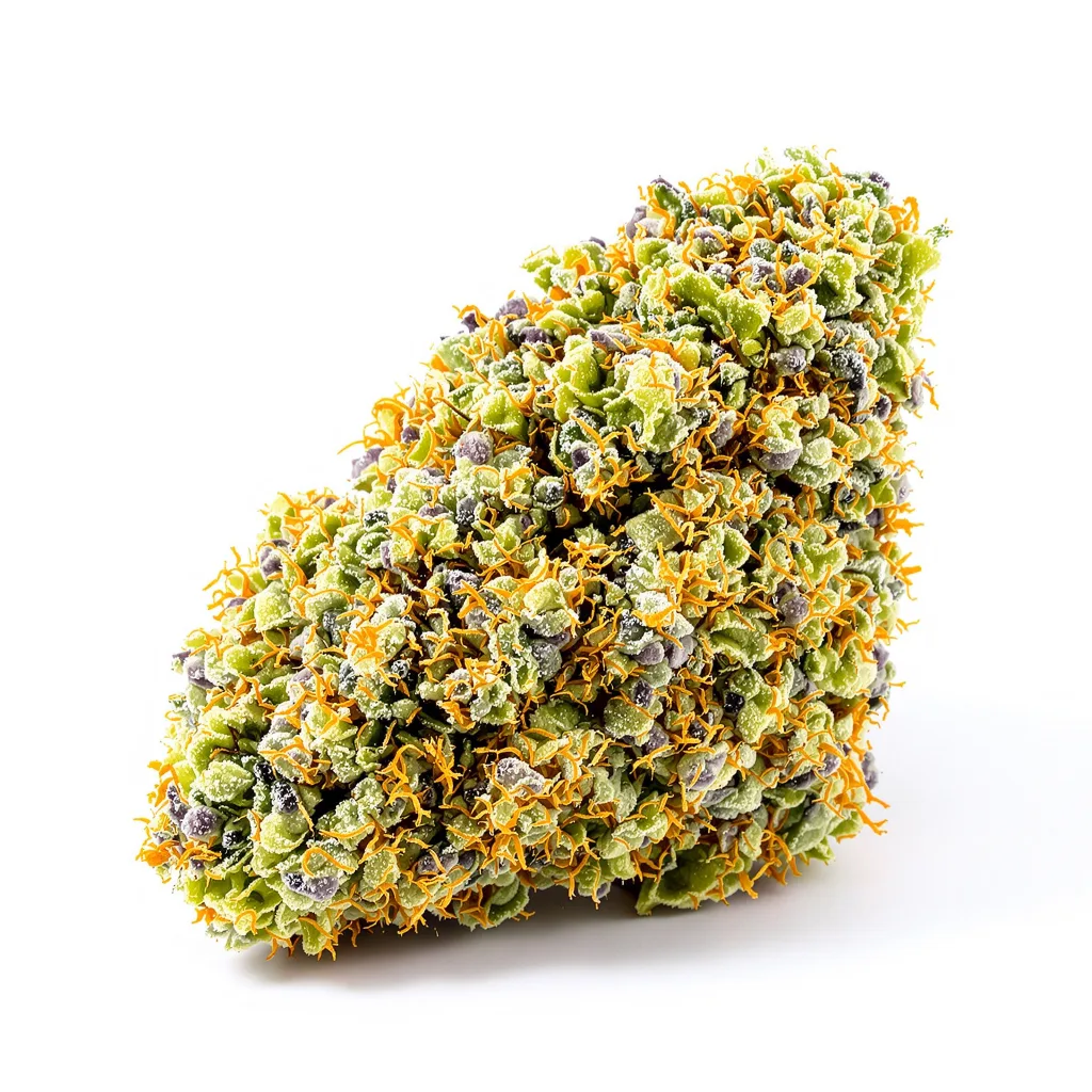 God's Green Crack cannabis plant in flowering stage — 60-100 cm autoflower