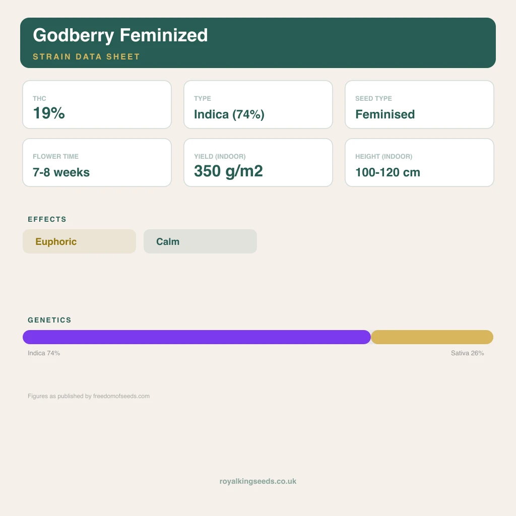 Godberry 74% indica / 26% sativa flower with visible trichomes