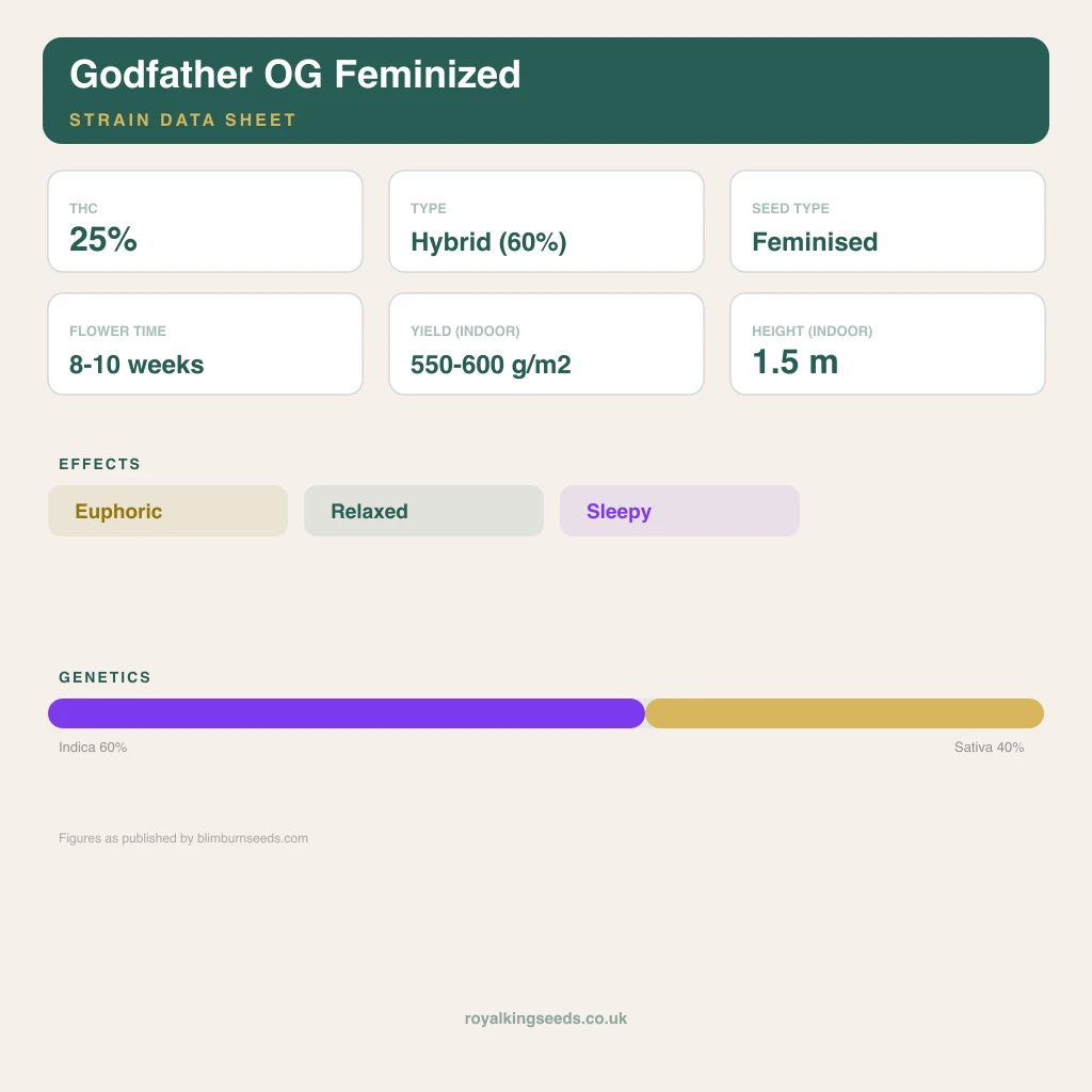 Godfather OG 60% indica / 40% sativa flower with visible trichomes