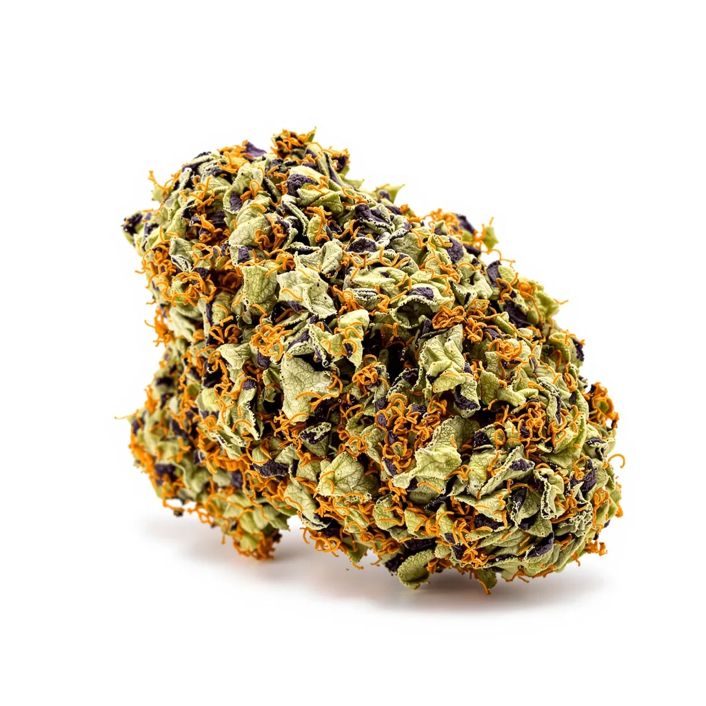 Godzilla Glue cannabis plant in flowering stage — 60-100 cm autoflower