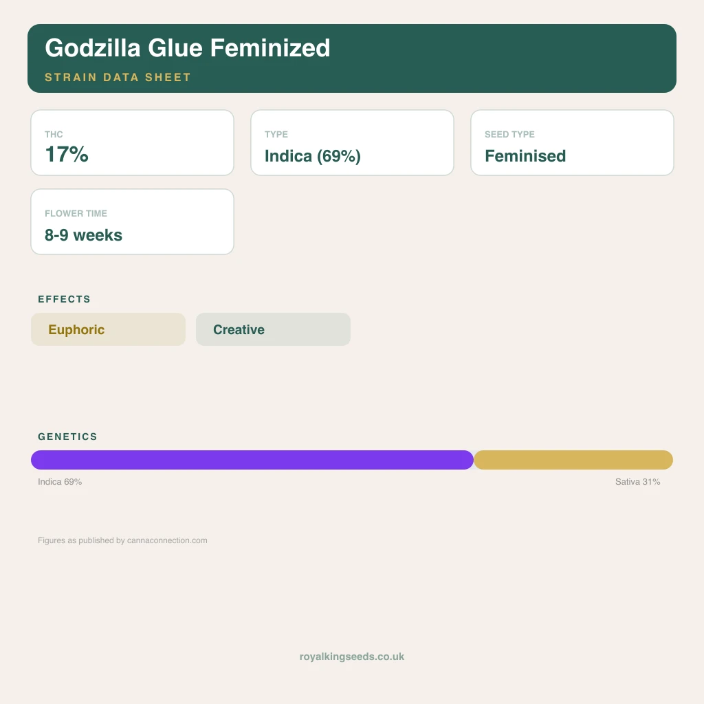 Godzilla Glue 69% indica / 31% sativa flower with visible trichomes