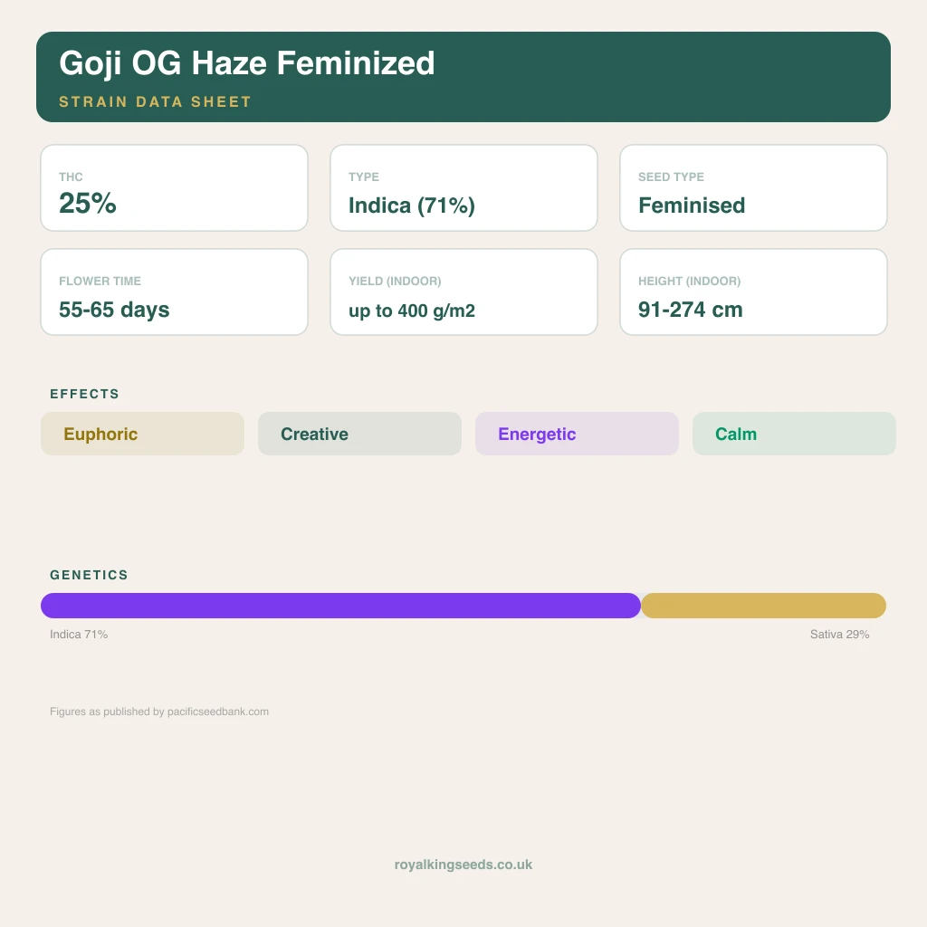 Goji OG Haze 71% indica / 29% sativa flower with visible trichomes