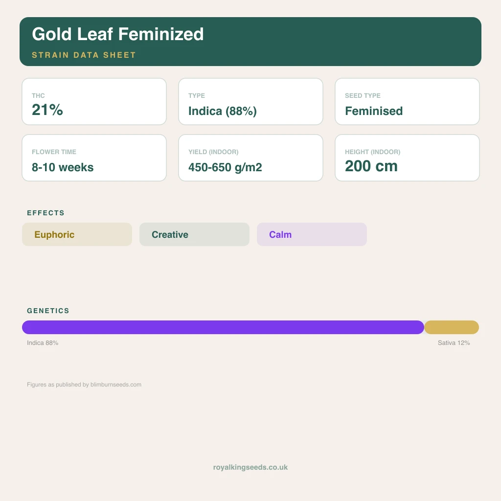 Gold Leaf 88% indica / 12% sativa flower with visible trichomes