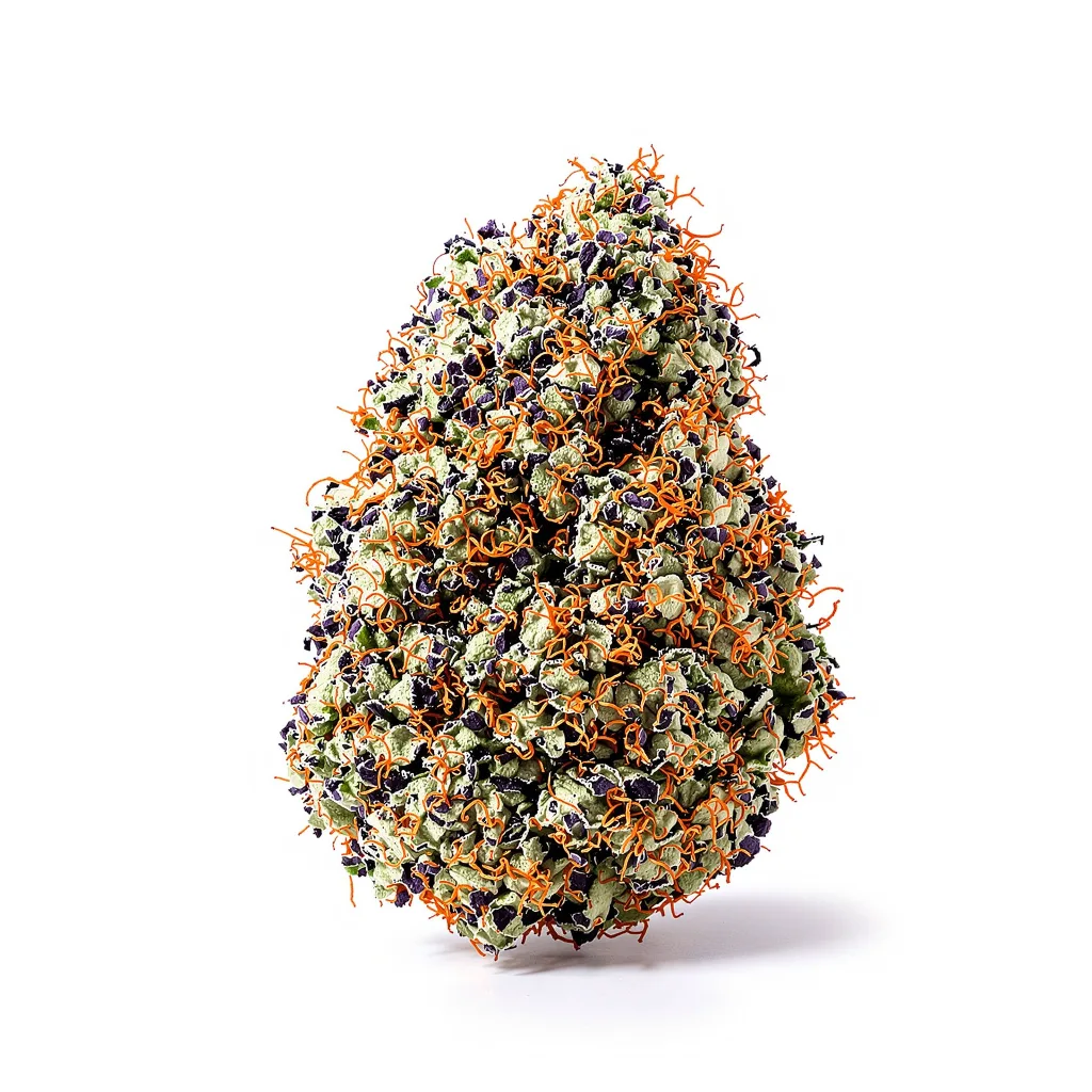 Goldberry cannabis plant in flowering stage — 90-130 cm feminised