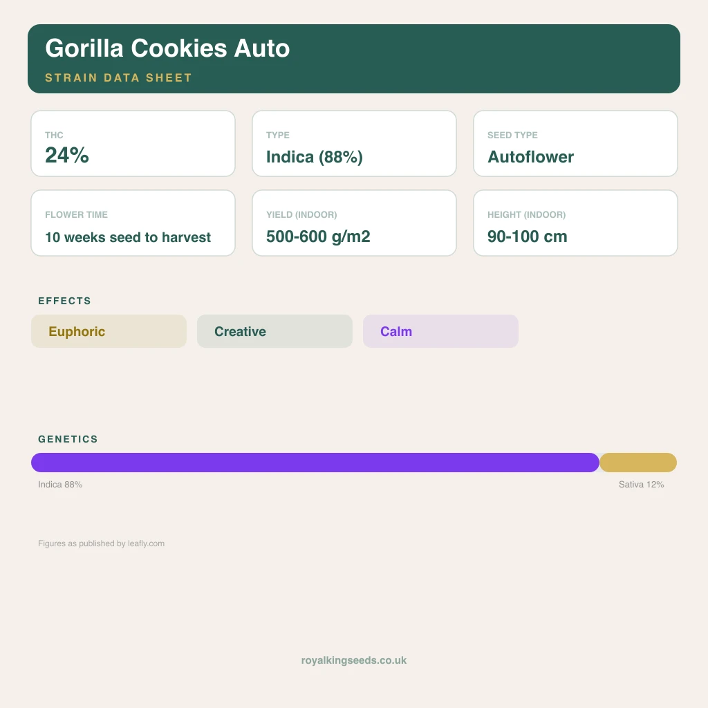 Gorilla Cookies 88% indica / 12% sativa flower with visible trichomes