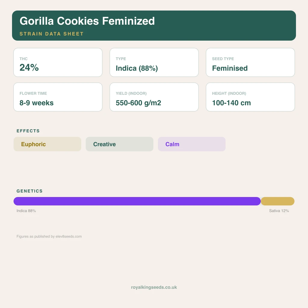 Gorilla Cookies 88% indica / 12% sativa flower with visible trichomes