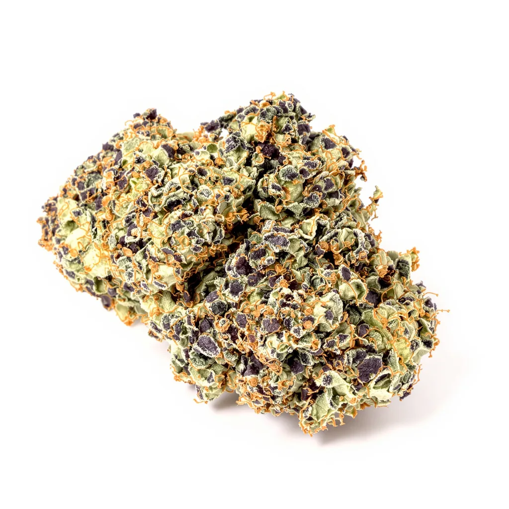 Grandmommy Purple cannabis plant in flowering stage — 90-130 cm feminised