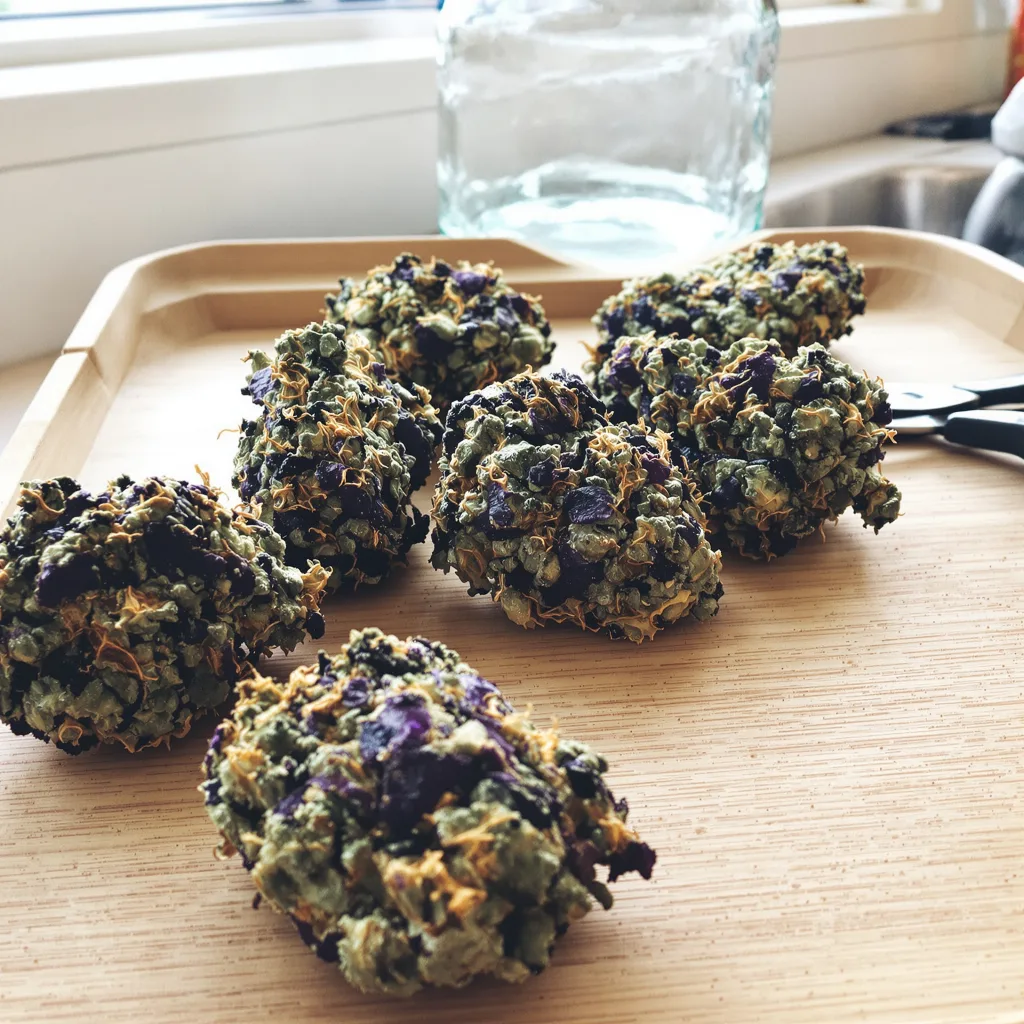Grape Drink 89% indica / 11% sativa flower with visible trichomes