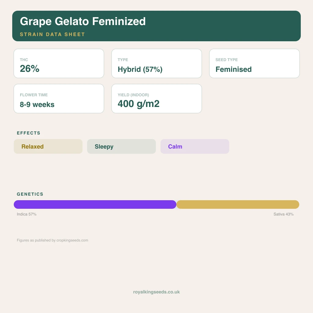 Grape Gelato 57% indica / 43% sativa flower with visible trichomes