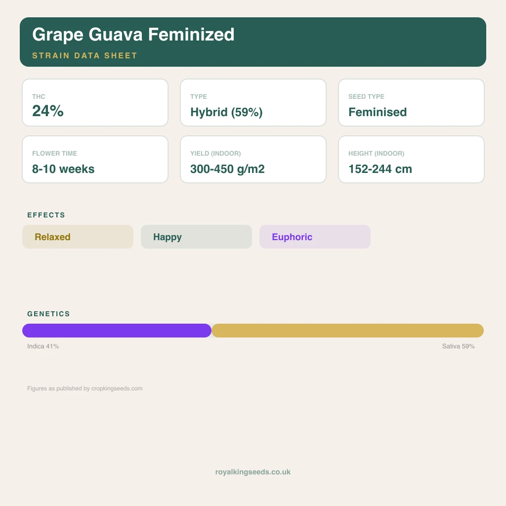 Grape Guava 41% indica / 59% sativa flower with visible trichomes