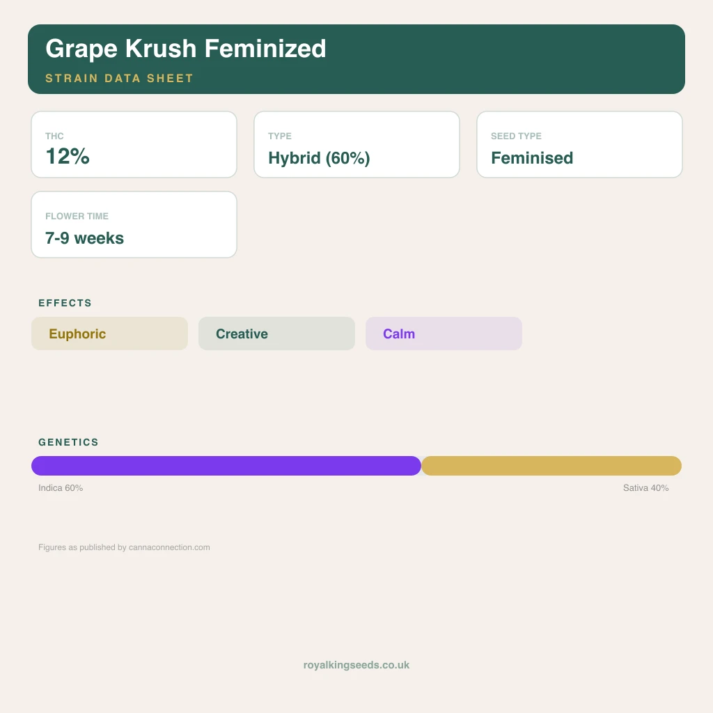 Grape Krush 60% indica / 40% sativa flower with visible trichomes