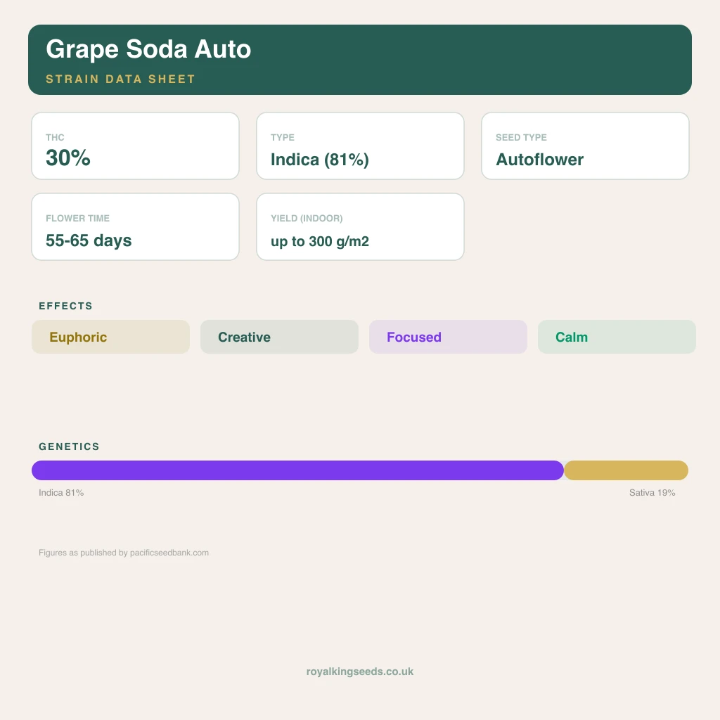 Grape Soda 81% indica / 19% sativa flower with visible trichomes