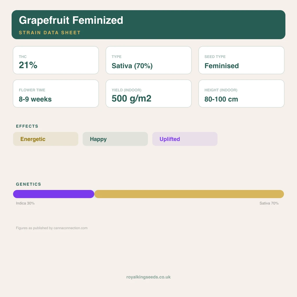 Grapefruit 30% indica / 70% sativa flower with visible trichomes