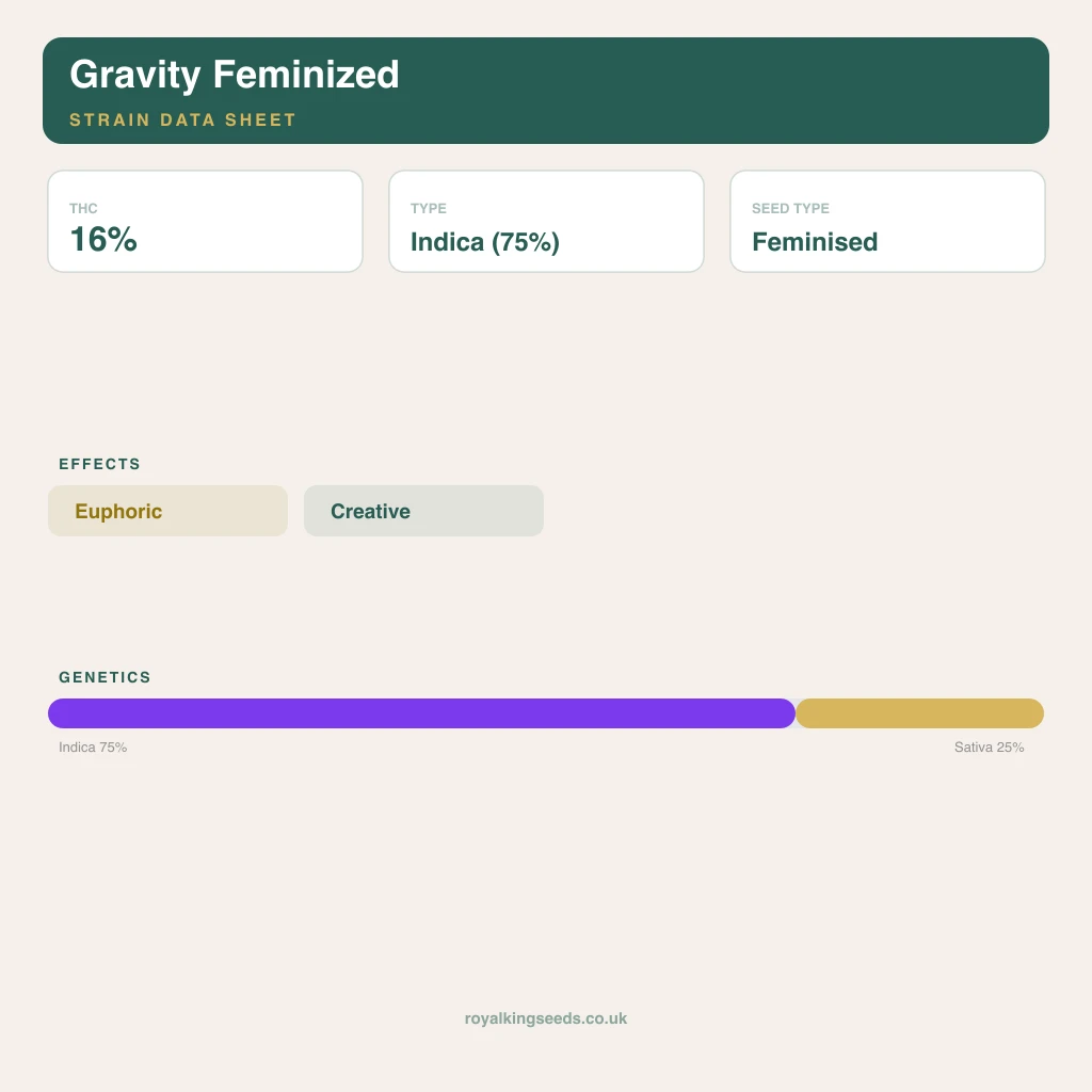Gravity 75% indica / 25% sativa flower with visible trichomes