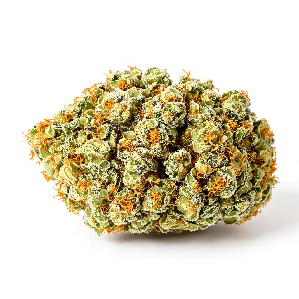 Grease Monkey cannabis plant in flowering stage — 60-100 cm autoflower