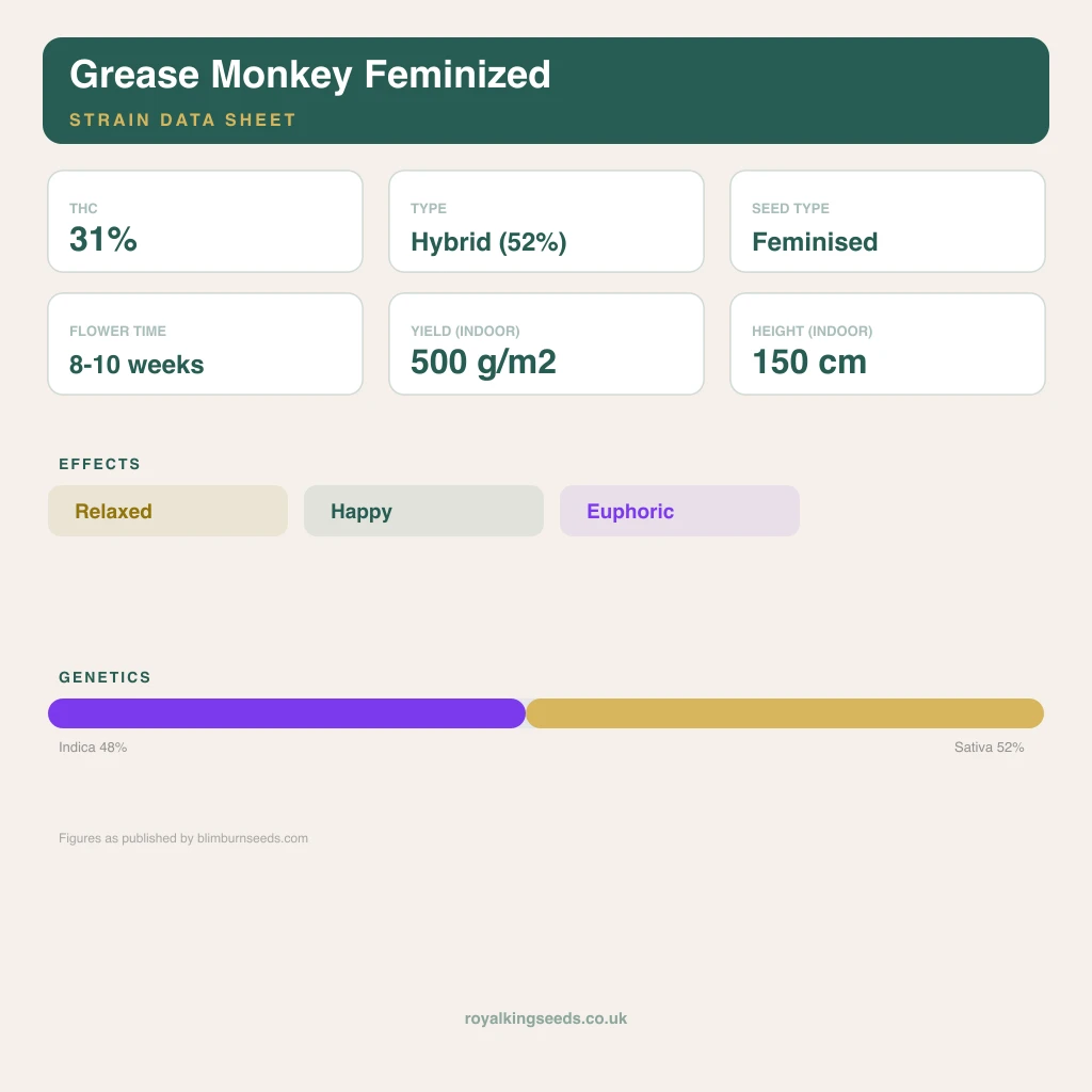 Grease Monkey 48% indica / 52% sativa flower with visible trichomes
