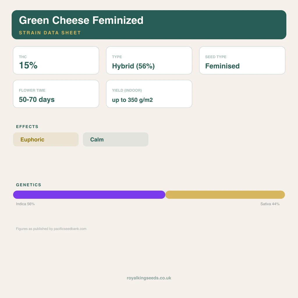 Green Cheese 56% indica / 44% sativa flower with visible trichomes