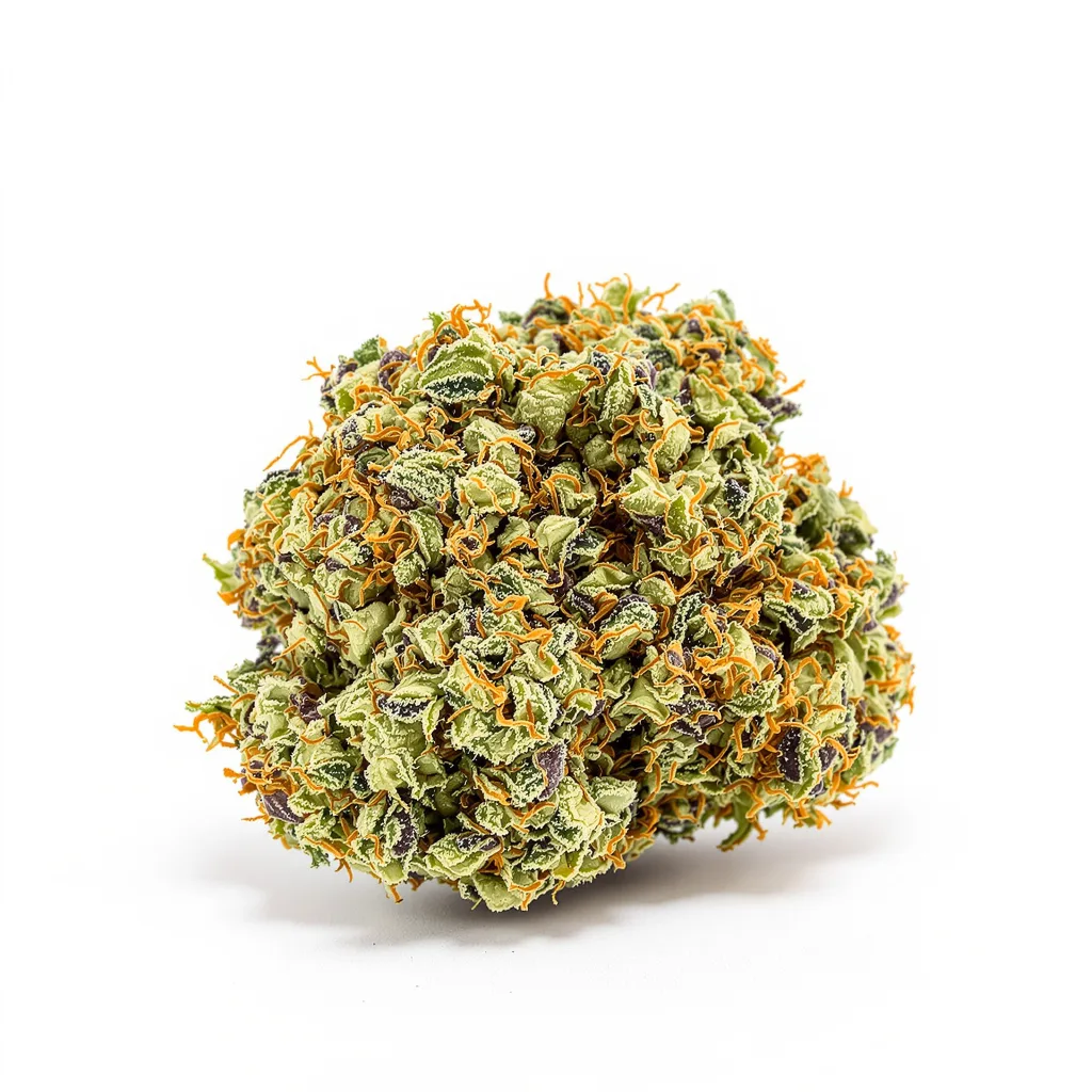 Green Door Kush cannabis plant in flowering stage — 120-180 cm feminised