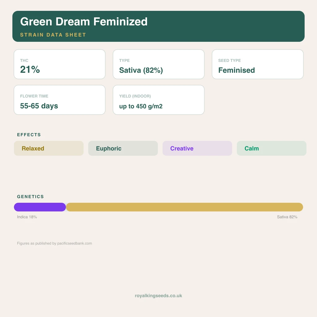 Green Dream 18% indica / 82% sativa flower with visible trichomes