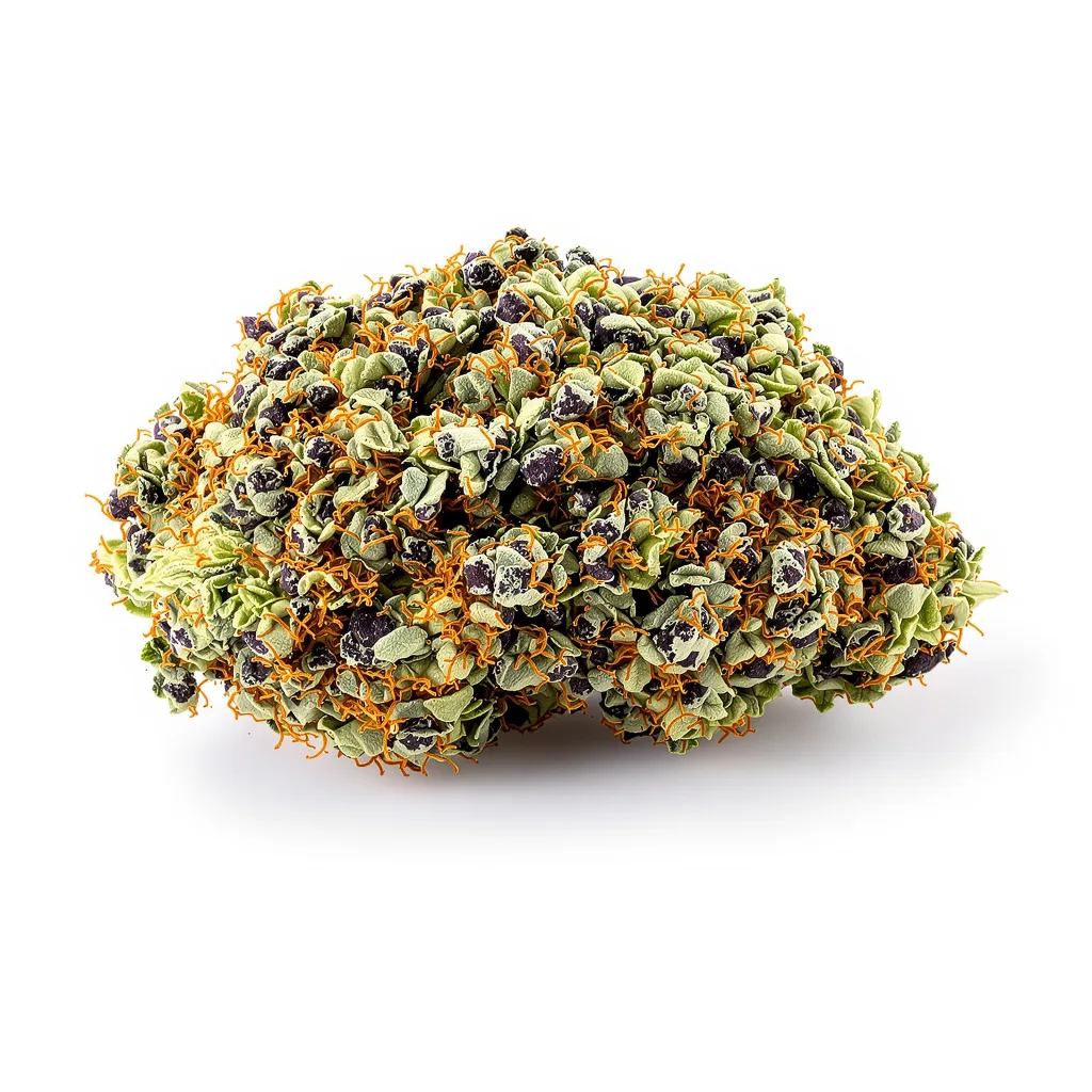 Green Love Potion cannabis plant in flowering stage — 90-130 cm feminised